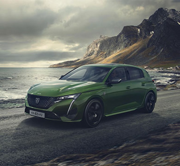 エトロ　ガーゼハーフケット　グリーン系　ピスタチオカラー エトロ ガーゼハーフケット グリーン系 ピスタチオカラー エトロ